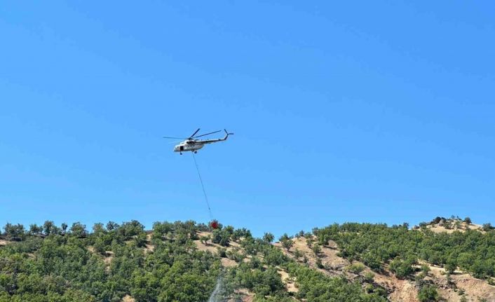 Bingöl’de 2 gündür süren yangın büyük oranda kontrol altına alındı