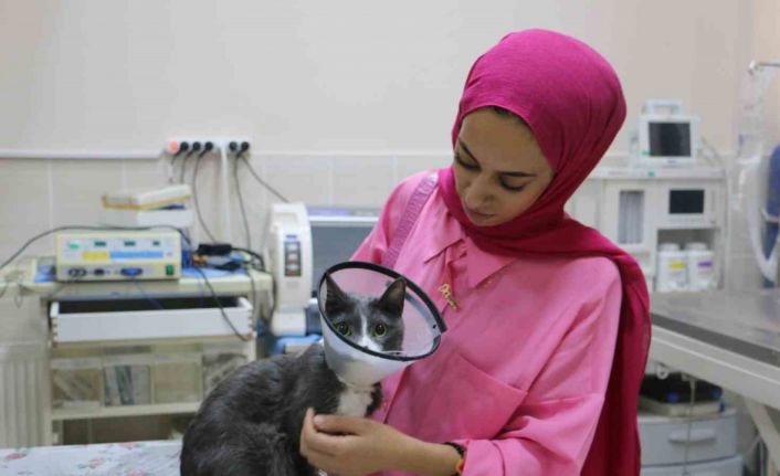 Bir sene içinde 6 ameliyat geçiren ’Duman’, ampute edilerek yaşamını sürdürüyor