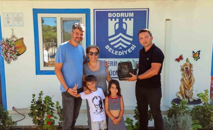 Bodrum’da bir firari maymun