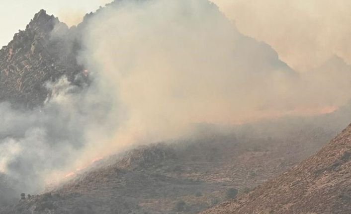 Bodrum’da yangın çıktı, havadan ve karadan müdahale sürüyor