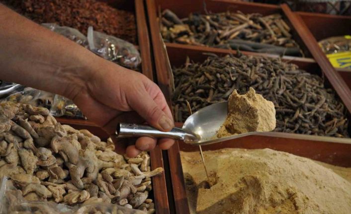 Bu bitkiler sıcak havada tansiyonun yükselmesini engelliyor