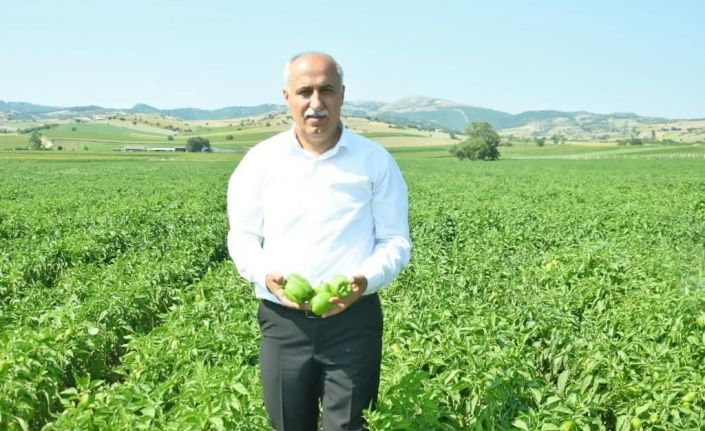 Bu pazarda fiyatı çiftçi belirleyecek