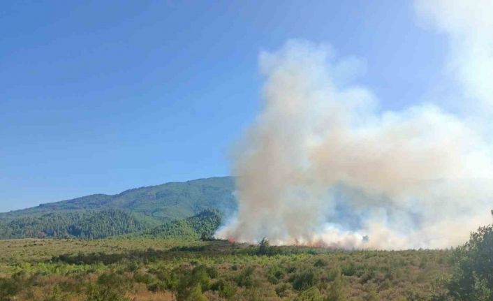 Burdur’da orman yangını havadan ve karadan müdahale ile kontrol altına alındı.