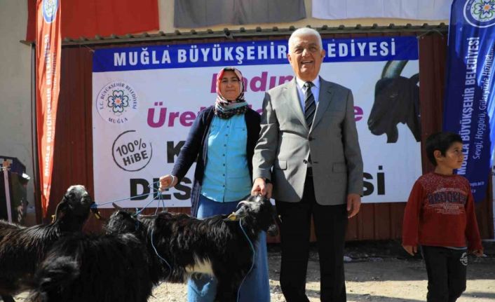 Büyükşehir’in Kıl Keçisi desteği 3 ilçede devam ediyor