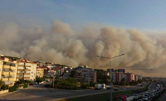 Çanakkale’de orman yangını nedeniyle şehir merkezi adeta dumanla kaplandı