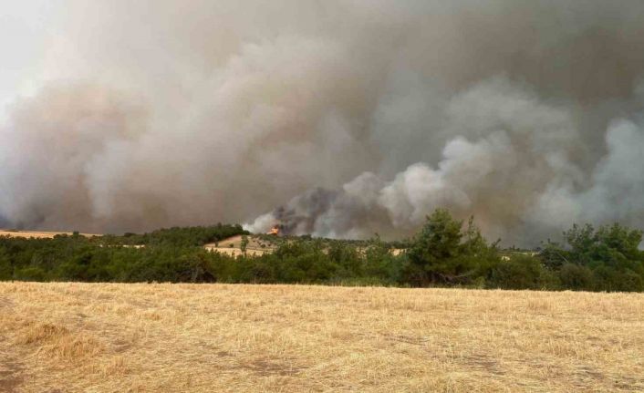 Çanakkale’de orman yangınına müdahale sürüyor