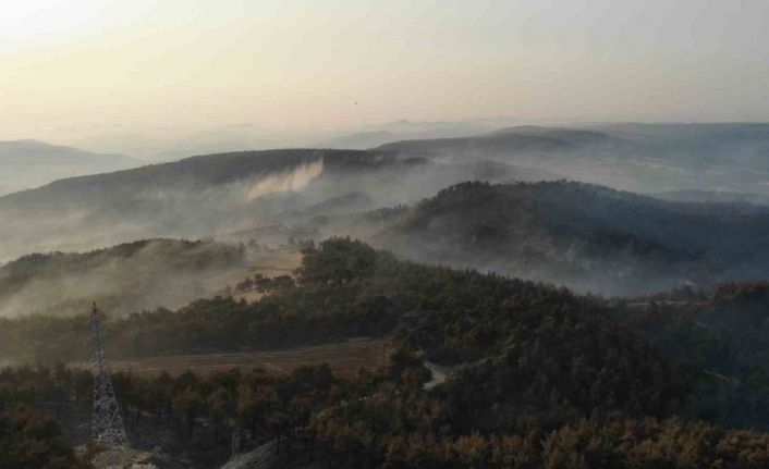 Çanakkale’de orman yangınının 3. gününde yanan alanlar böyle görüntülendi