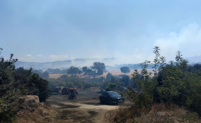 Çanakkale’de tarım arazilerinin bulunduğu bölgede yangın