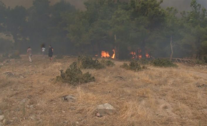 Çanakkale’deki orman yangınında can pazarı kameraya yansıdı