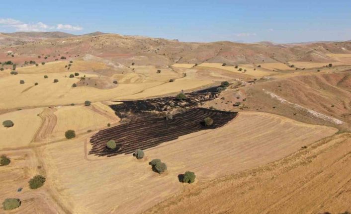 Çocukların ateşle oyunu pahalıya mal oldu, 50 dönüm buğday tarlası kül oldu