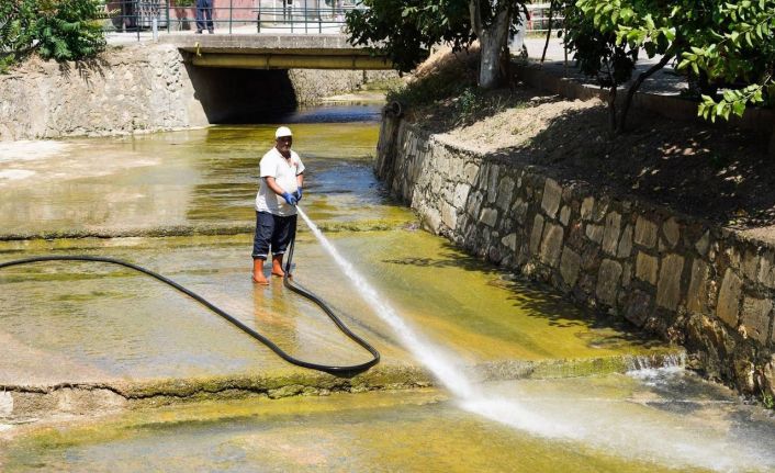 Dere temizlenince 40 yıl önce görülen balıklar yine görülmeye başlandı