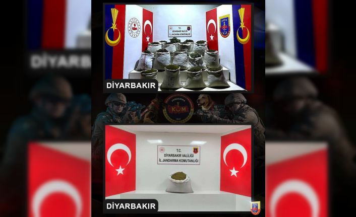 Diyarbakır’da 2 milyon 425 bin kök kenevir ve skunk bitkisi ele geçirildi