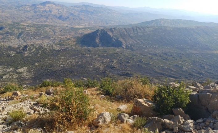 Diyarbakır’da çıkan yangın 25 saat sonra kontrol altına alındı