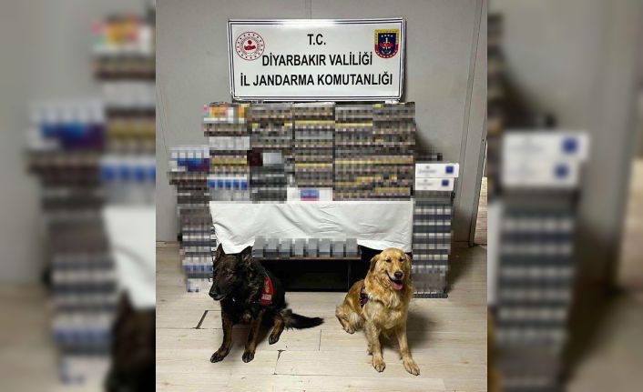 Diyarbakır’da yolcu otobüsünde 8 bin 549 paket kaçak sigara ele geçirildi