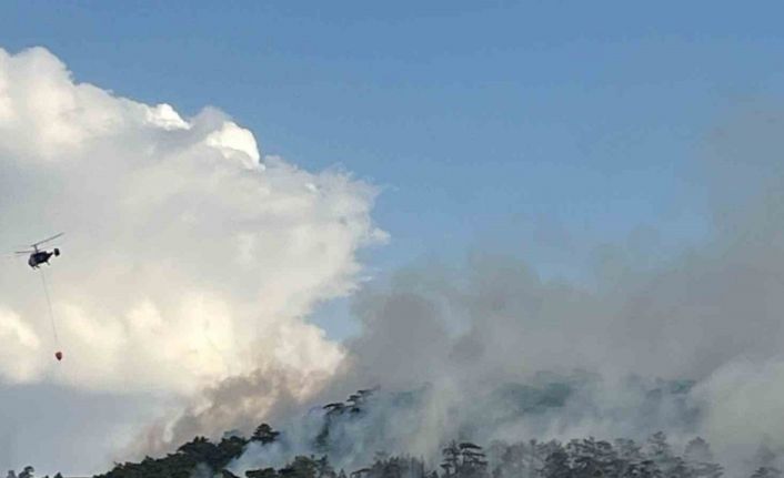 Eskişehir’de 7 saattir devam eden orman yangınına müdahale sürüyor