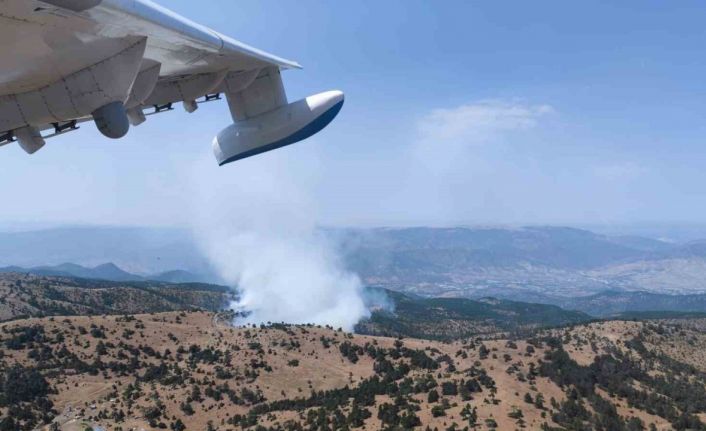 Eskişehir’de orman yangını