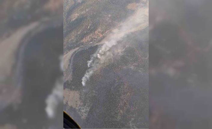 Eskişehir’de orman yangınına sabah saatlerinde yeniden havadan müdahale başladı