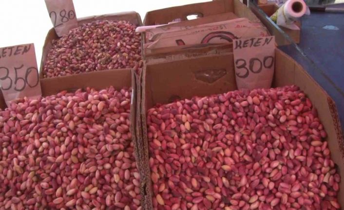 Fıstık fiyatları cep yakıyor