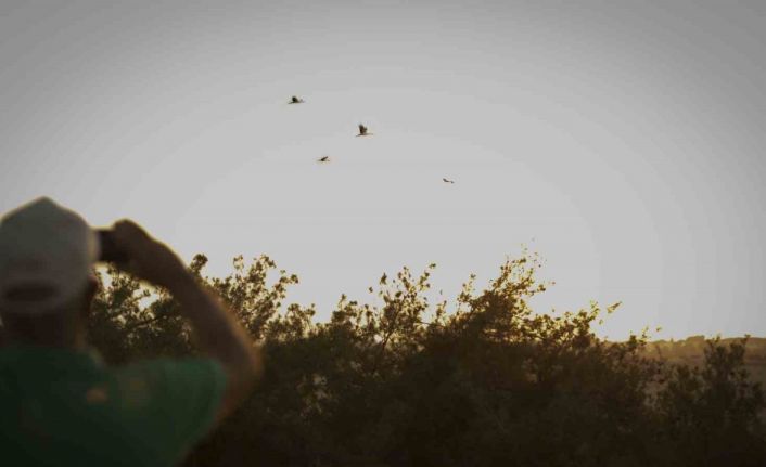 Göçmen kuşlar, Mersin’den Afrika’ya uğurlandı