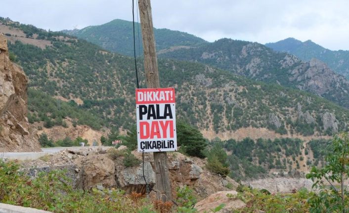 Gümüşhane’de “Dikkat Pala Dayı Çıkabilir” yazılı uyarı tabelası sürücüleri şaşırtıyor