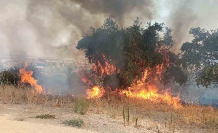 Hatay’da 2 farklı noktada meydana gelen yangın, ormanlık alana sıçramadan söndürüldü