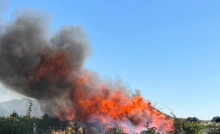 Hobi Bahçesinde Yangın