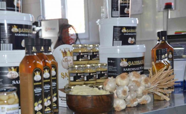 Hobi olarak başladılar: Taşköprü sarımsağından ürettikleri yıllanmış ekstratın faydaları saymakla bitmiyor
