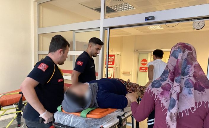 İncir ağacından düşen kadın yaralandı