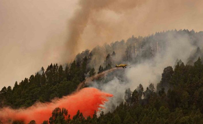 İspanya’nın Tenerife Adası alev alev: 3 bin 273 hektarlık alan küle döndü