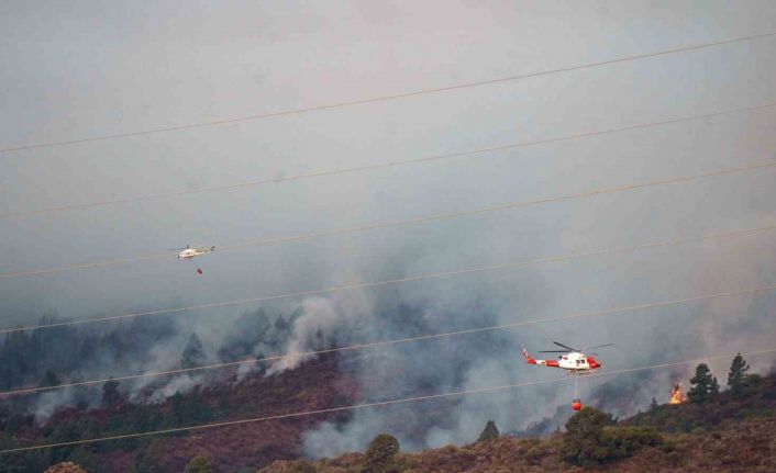 İspanya’nın Tenerife Adası’ndaki yangın büyüyor: Bin 800 hektar alan kül oldu