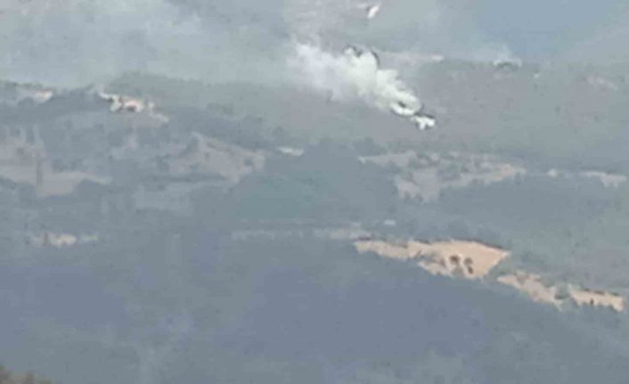 İzmir’de 2 orman yangını yaklaşık 30 dakikada kontrol altına alındı