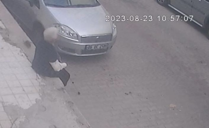 İzmir’de korkunç olay: Farenin ısırdığı kadın hastanelik oldu