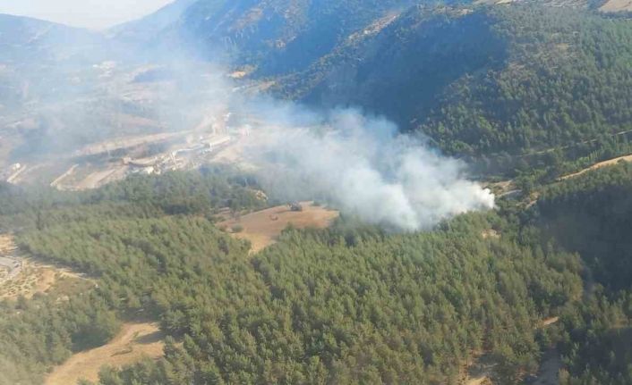 İzmir’de orman yangınına havadan ve karadan müdahale ediliyor