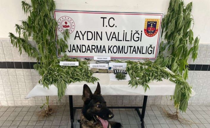 Jandarmadan uyuşturucu operasyonu: 27 tutuklama