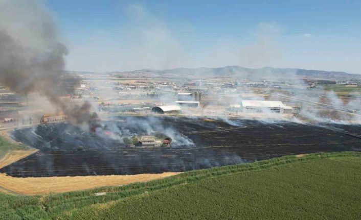 Kahramanmaraş’ta anız yangını korkuttu