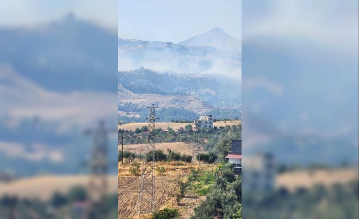 Kahramanmaraş’ta orman yangını