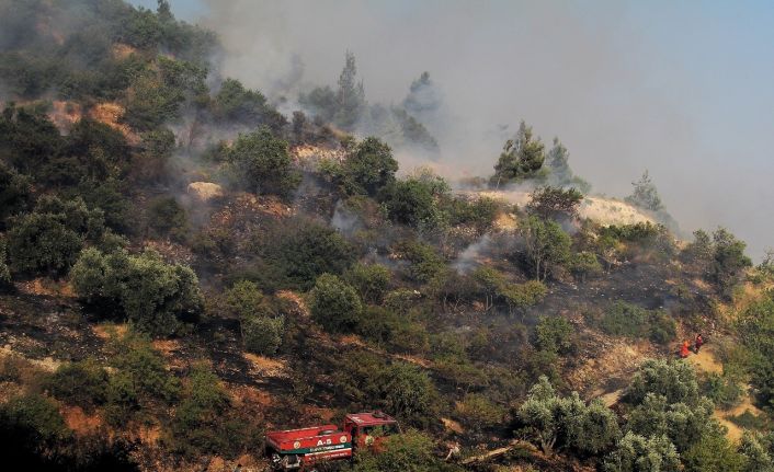 Kahramanmaraş’ta orman yangını kontrol altına alındı