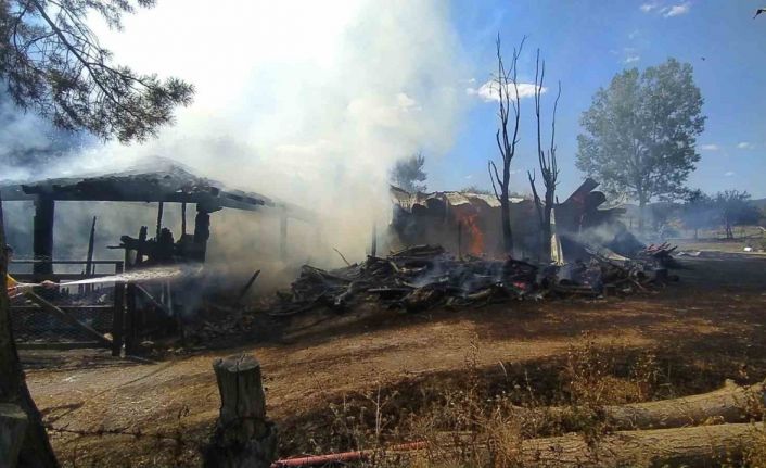 Kastamonu’da çıkan yangında ahır, samanlık ve bin 500 balya saman kül oldu