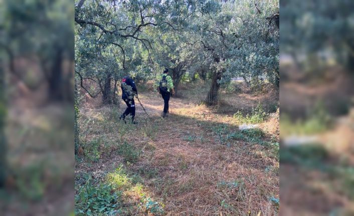 Kayıp öğretmeni arama çalışmaları devam ediyor