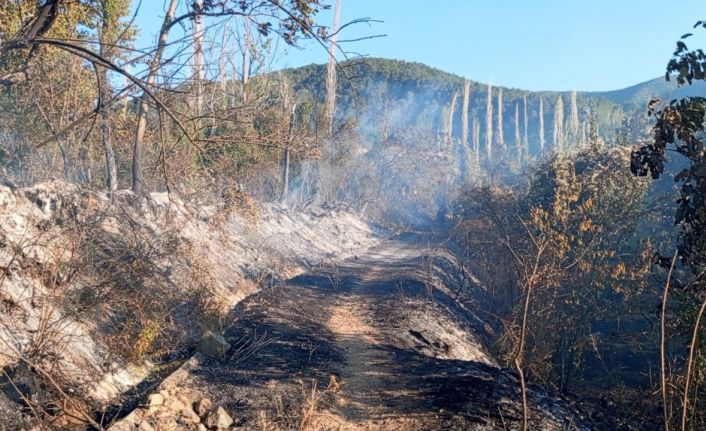 Kaynaktan çıkan kıvılcım bahçe ve üzüm bağlarını kül etti