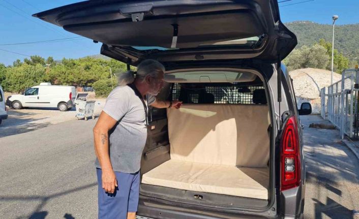 Kedi camı kafasıyla kırıp kaçtı