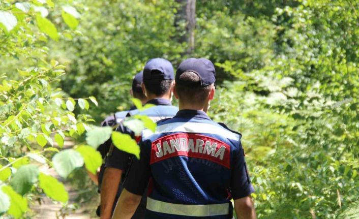 Kocaeli’de ormanlara girmek yasaklandı