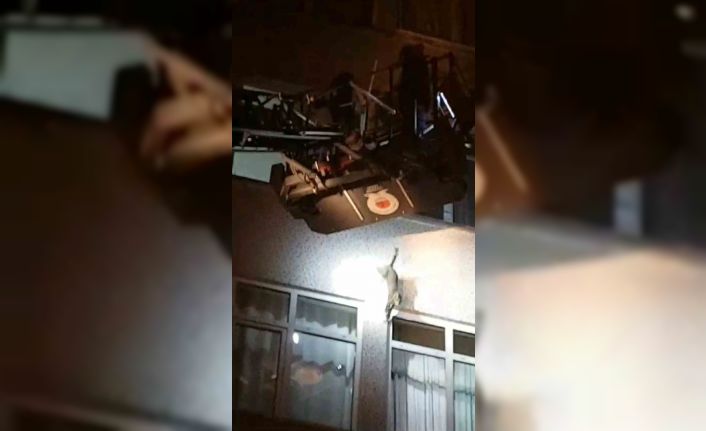 Kurtarılmak istenirken 4.kattan atlayan kedi yürekleri ağzına getirdi