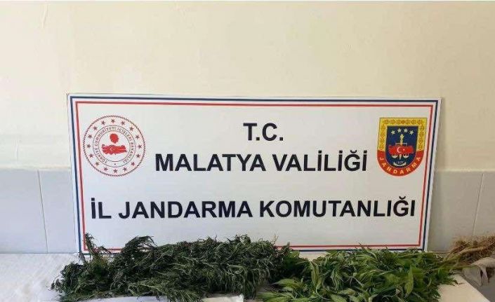 Malatya’da zehir tacirlerine geçit yok