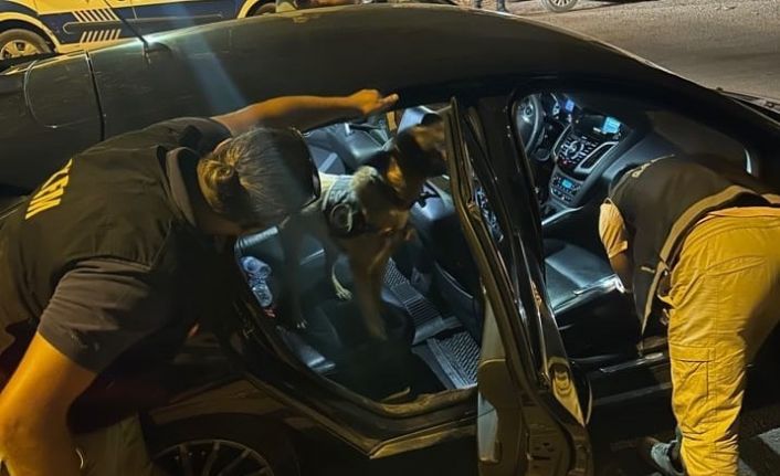 Manisa emniyetinden narkotik çalışması