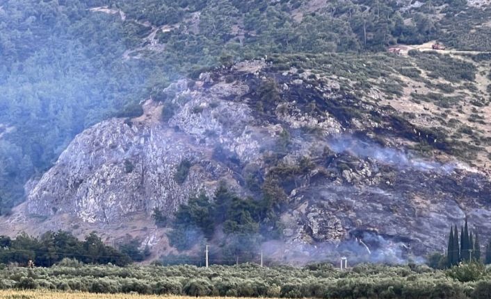 Manisa’da orman yangını bir saatte kontrol altına aldı