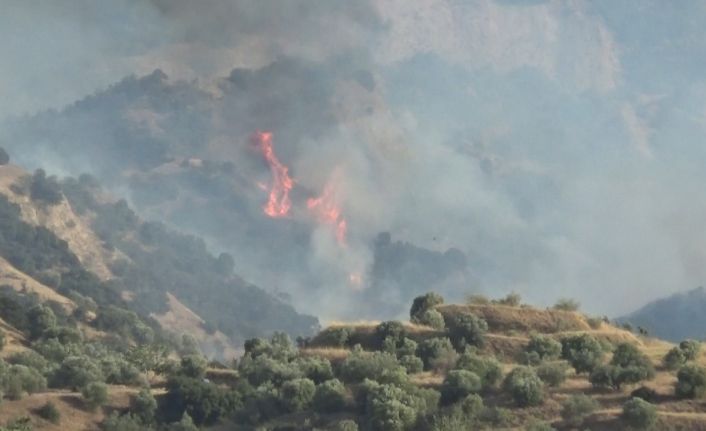 Manisa’da orman yangını havadan ve karadan müdahaleyle söndürüldü