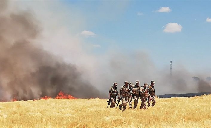 Mardin ve Şanlıurfa’da elektrik dağıtım şirketi personeline saldırı:  Görevlilerin bulunduğu tarla yakıldı