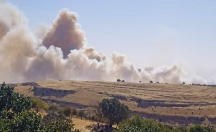 Mardin’de iki farklı noktada çıkan örtü yangını kontrol altına alındı