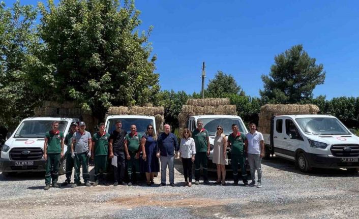 Menteşe Belediyesi’nden üreticilere saman balyası desteği